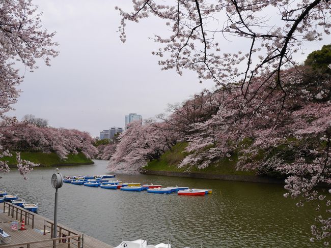 北の丸公園から千鳥ヶ淵の南側を西へ進みぐるっと千鳥ヶ淵を一周する形で靖国通りへ戻ります