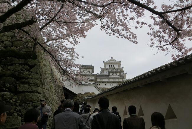 白鷺城の呼び名を持つ、世界遺産の城郭の姫路城の紹介です。大天守の平成の大修理が終了したばかりです。