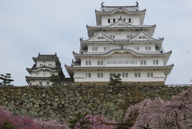 桜の花が見頃だった、姫路城の紹介です。日本を代表する城郭で、世界文化遺産にも登録されている名城です。