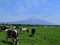 富士山をぐるっと一周ドライブ