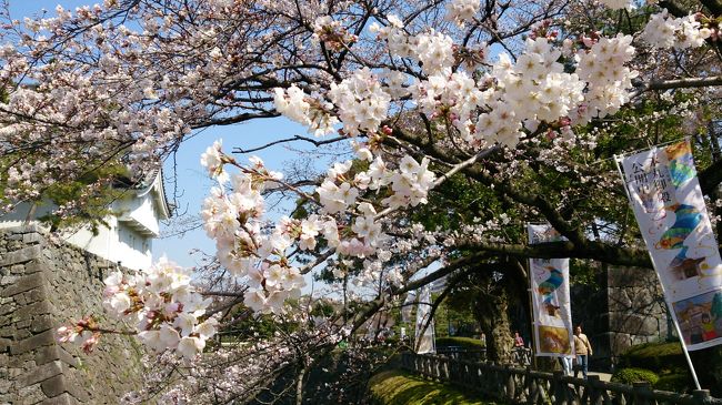 2013年11月、2014年1月に引き続き、3月にも降って湧いた日本出張。<br />今回は珍しい1か月という長期でご招待頂き、久々の日本ロングステイ。<br /><br />滞在先は日本ではあるけれど名古屋という初めての地ということでドキドキでした。<br />このドキドキ&amp;不安をやわらげてくださったrinnmamaさんには本当に感謝します。<br /><br />1か月も名古屋にいれるのだから今まで足を踏み入れたことのないこの地域を満喫しよう、<br />そう思ったのもつかの間、出発数日前に妊娠発覚という一大事に見舞われ。。。<br />出発前に病院に行きたくても予約が取れず、そのまま日本に来てしまいました。<br />そんなこんなでこの地域を満喫しようという計画はすべて水の泡。<br />暇さえあれば東京の実家へ新幹線で往復するという日々になってしまいました。<br />何はともあれ、大事な時期を日本で(偶然)過ごせたことはありがたいことです。<br /><br />名古屋でのお出かけの殆どはrinnmamaさんがガイドしてくださいました。<br />(もう時間が経ってしまって詳しい地名はあまり覚えていないのですが^^;)<br />あまり写真もありませんが、記録として残させていただきます。