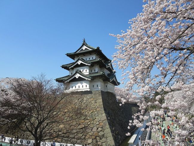 桜前線を追って 3 弘前公園の桜 お宿は青荷温泉と打当温泉マタギの里 弘前 青森県 の旅行記 ブログ By Donkyさん フォートラベル