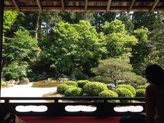 京都 ひたすら歩いて庭を見てウトウトした 親娘旅【1】