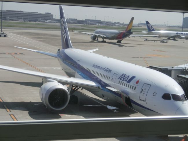 3年ぶりの海外旅行。5か国目はタイのバンコク。実はANAで国際線経験がシドニー・ブリスベーン・香港・シンガポールの4都市ですが、今回のバンコクで5都市目になります。<br /><br />機材はB787-8（240席）。以前は2−4−2のゆったりとした仕様でありましたが、他の航空会社同様に3−3−3に変わる羽目に。ただ強運だったのが、通路側のギャレイ付近の座席を確保できました。<br /><br />という訳で、機内の様子や機内食や現地到着の様子などをアップしたいと思います。<br /><br />