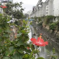 夏先取りの沖縄（の筈だった）　①那覇