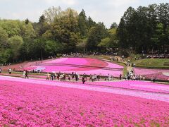 羊山公園・芝桜の咲く頃