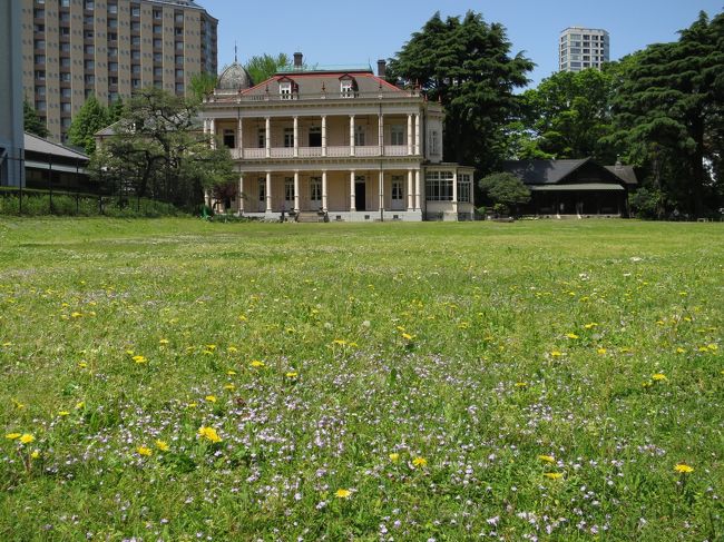 旧岩崎邸庭園のカントウタンポポ<br /><br />上野池之端の旧岩崎邸庭園は、都心でカントウタンポポに出会える数少ない場所です。<br />近代建築の傑作、ジョサイア・コンドル設計の洋館を彩るように咲き競います。という東京メトロ駅のポスター及びテレビの天気予報で紹介されていました。<br /><br />もう少したくさん咲いていればよかったと思いましたが、天気が良かったので十分満足できました。<br /><br />見頃は3月〜5月です。