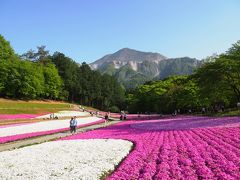 お花と温泉でリフレッシュ！　ＧＷの今が満開☆彡　秩父「羊山公園・芝桜」