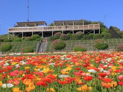 淡路花博に出かけてきました