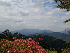 新緑の美しい高尾&#12316;城山へ