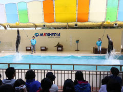 <・)))><  【マリンピア 松島水族館  ☆ ありがとう ～　 (^O^)／~ 】  【　楽しかったアシカショー】  ><(((・>        ②        松島町 　　宮城県