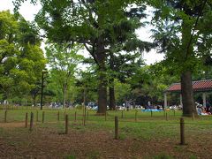 代々木公園でまったりピクニック、外国人観光客の多い明治神宮へ参拝/東京・渋谷