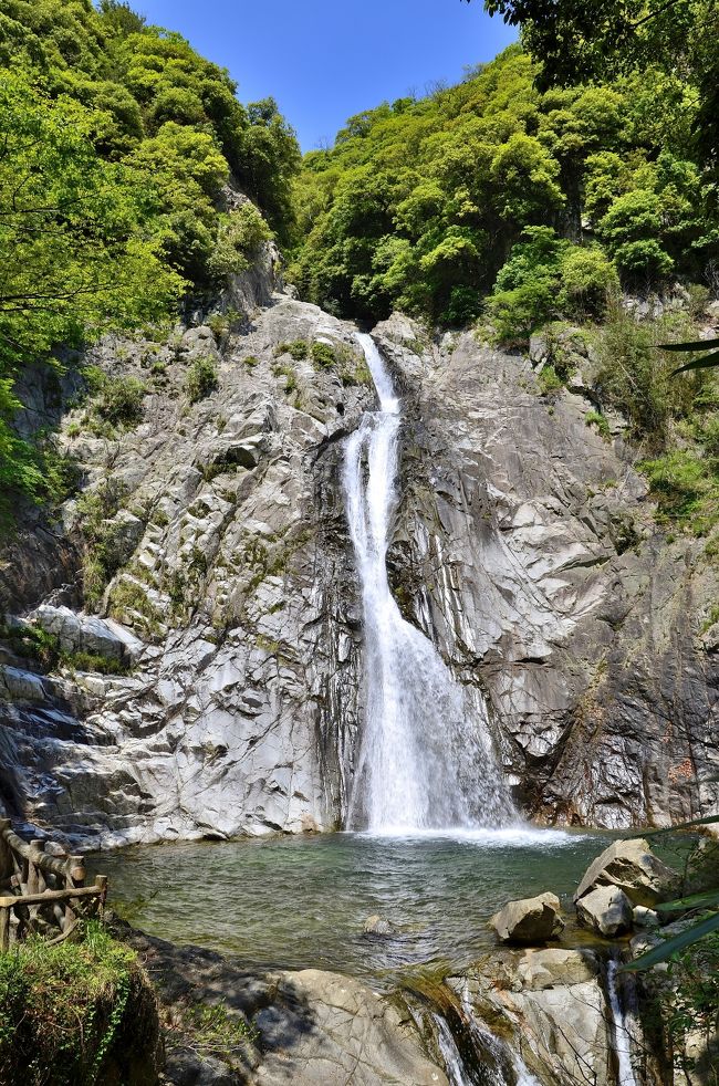 神戸市中央区に渓流が流れ、そこに立派な滝があるとは信じ難いのですが、実際に山陽新幹線「新神戸駅」から徒歩１５分の所に布引の滝が存在します。それも、日光華厳滝や紀州那智滝と共に日本三大神滝のひとつに数えられる修験道行場の滝です。都心から至近距離ながら、ここでは都会の喧騒を忘れ、心静かにマイナスイオンを浴びることがでるオアシスです。<br />水源は六甲山系の獺（かわうそ）池で、摩耶山（まやさん）や再度山（ふたたびさん）の水を一手に集め、布引貯水池を経て落下して生田川となり南流して大阪湾へと注ぎます。神戸ウォーターの源泉のひとつでもあります。<br />布引の滝は、生田川の中流 布引渓流にある４つの滝の総称です。駅の北約１００ｍの所に雌滝があり、その上の２００ｍの所に雄滝があります。その２つの滝の間を挟んで鼓ヶ滝と夫婦滝があります。「布引の滝」の名の由来は、滝を落ちる水がまるで布を垂れているように白く美しく見えたところからだそうです。布引の滝は日本の滝百選に選ばれ、古来から名瀑として知られる景勝地です。<br />マップです。<br />http://www.city.kobe.lg.jp/ward/kuyakusho/chuou/shoukai/nunoichi/img/nunobikinotakimappuuranew.pdf<br />新幹線で来られる方のための新神戸駅の構内図です。<br />http://www.jr-odekake.net/eki/premises.php?id=0610156