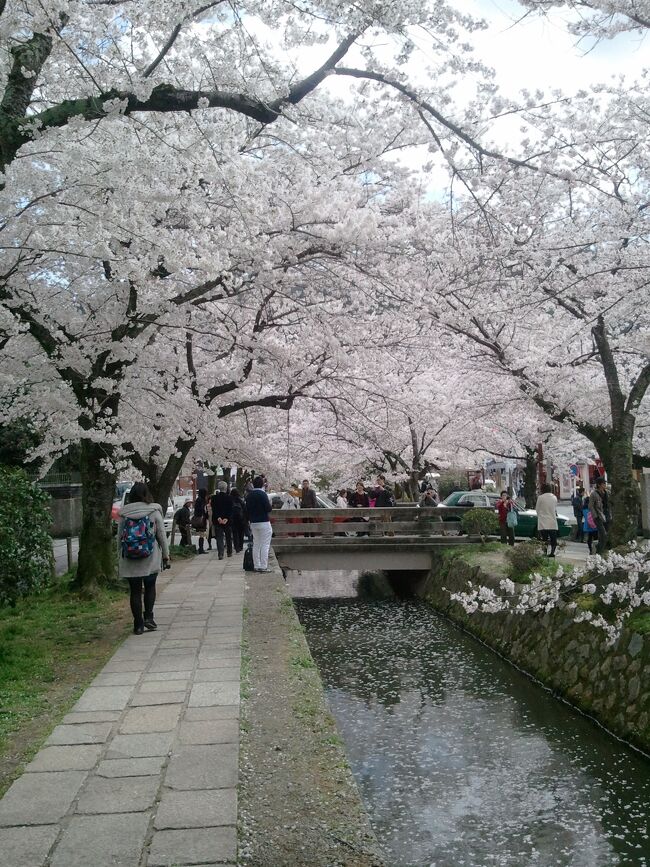 2014春 京都・大阪旅行 京都編