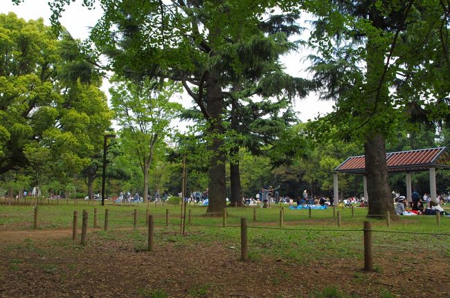 都内で用事があったので、用事を済ませた後は明治神宮と代々木公園に行ってきました<br /><br />学生時代から何度も行っている場所ですが、この２つは立ち寄ったことがなかったので新鮮でした<br /><br />人が多くせわしない印象でしたが、自然があったりスピリチュアルな気持ちになったりといい場所でした<br /><br /><br />明治神宮<br />↓<br />代々木公園<br />↓<br />明治神宮<br />↓<br />神宮橋