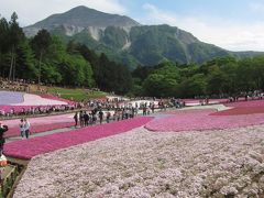 ゴールデンウィークの週末ちち部～SLに ご当地グルメ 芝桜～