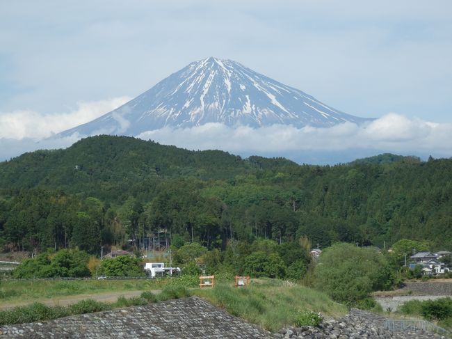 本日は、五月晴れの薫風をうけて富士山の眺望をもとめて、富士川上流までドライブする。<br />この連休中の初夏のような気温上昇により、富士山の積雪は溶けて山肌の黒い部分が多く見られました。<br /><br />さらに富士川沿いを北上して、富士宮市・西山地区まで行き「京都・本能寺の変」で討ち死にした「織田信長公の首塚」が祀られている、富士山・西山本門寺を訪ねて新緑の広大な境内を散策する。<br />