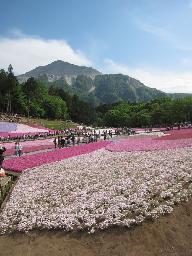 SLを見て、B級グルメを味わって、芝桜を見て、温泉に入って、と日帰りで秩父を満喫しました。<br />今年のゴールデンウィークは晴天にも恵まれて毎日が行楽日和でした。ゴールデンウィーク小旅行第2弾は西武線で行ってきた秩父です。<br /><br />'15GW小旅行第一章 高尾山 ⇒ http://4travel.jp/travelogue/11004899<br />'15GW小旅行最終章 韮山 ⇒ http://4travel.jp/travelogue/11007767<br /><br />タイトルの“週末ちち部”は今年の西武鉄道の秩父旅のキャッチフレーズとなっており、イメージキャラクター吉高由里子さんがPRしています。<br /><br />本日のは23,011歩のお散歩でした<br /><br />【表紙の写真】武甲山と羊山公園の芝ざくら