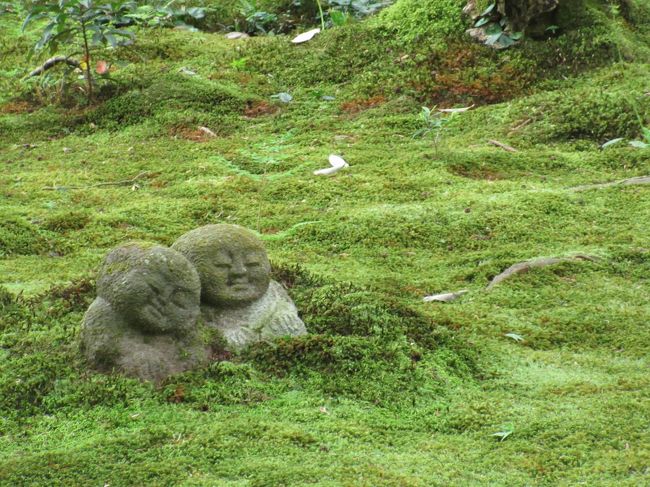 考えてみれば、大原へは20年ぶり?<br />覚えていたことも、忘れてたことも<br />変ったような… 変わらないような…<br /><br />行ったところも、初めての場所も<br />とても癒された一日でした。<br /><br />里山っていいなぁ・・・