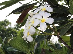 2度目のタイひとり旅は癒しがテーマ③