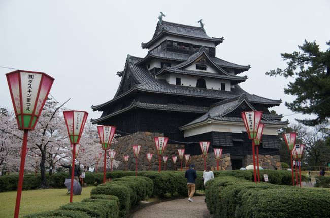 出雲大社をお参りした後、午後は松江に足を延ばしてみました。松江城を見学し、城下町をブラブラして、盛りだくさんな一日は終わりました。