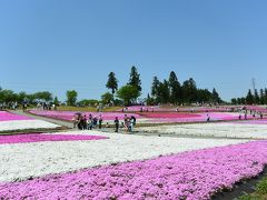 温泉放浪：芝桜を愛でに秩父へドライブ