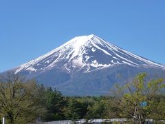 富士箱根伊豆国立公園を行く＼(^o^)／～伊豆箱根初心者の旅～　Vol.1富士急ハイランド・箱根編