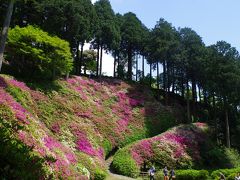 佐賀県基山町　大興善寺につつじを見に行く(2015年5月)