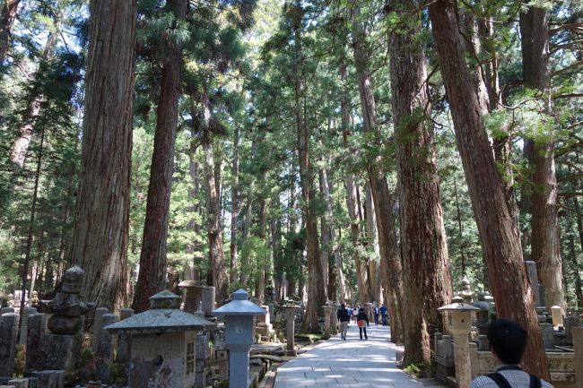 今年は空海による開創1200年という事で、帰省がてら高野山を訪れました。<br />子供の頃連れてきてもらい、奥の院を訪れた記憶があります。<br /><br />宿泊地の和歌山市内から、高野山へ移動しましたが、<br />大阪のなんば駅から、南海電車で極楽橋に来る方が、<br />乗り換えが少なくて楽かもしれませんね。<br /><br />和歌山駅⇒橋本駅(JR)<br />橋本駅⇒極楽橋駅(南海)<br />極楽橋駅⇒高野山駅(ケーブルカー)