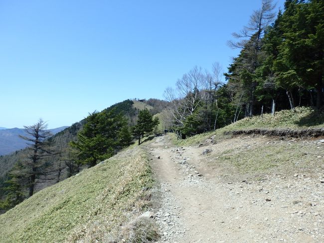 日本百名山の1つの雲取山は、東京都最高峰の山になります。<br />少し距離はありますが、天気も良かったので、日帰りで登山をしてきました。