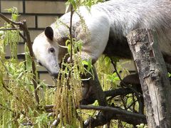 ZOOめぐり２０１５　第４回（埼玉県こども動物自然公園）