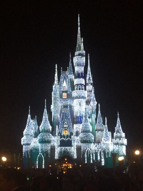 海外ディズニー 財布 WDW ウォルトディズニーワールド