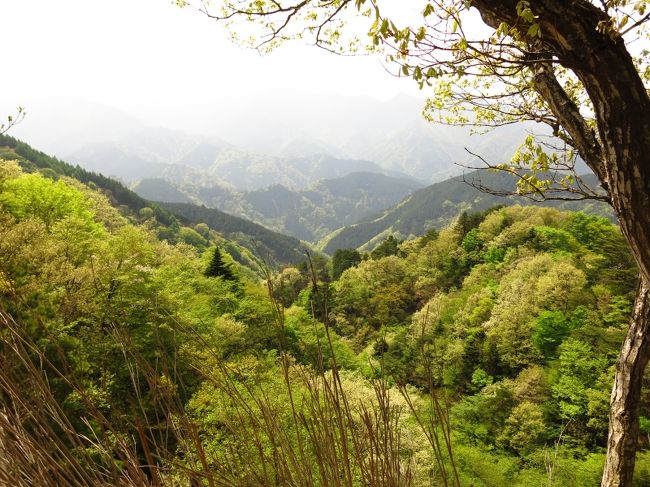 鎖場、ヤセ尾根、岩登り・・・大山三峰山