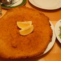 デルタ・スカイマイル特典（ビジネス12万マイル）でヨーロッパ②～ウィーン・チェスキークルムロフ・プラハ8日間