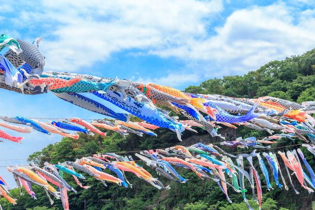 昭和63年から相模川で毎年行われている、鯉のぼりのイベントに写真撮影しに行ってきました。<br />これは旅行記というよりも、来年お子さんを連れて行かれる誰かのお役にたてばと思い書きました。<br />（本当は鯉のぼりの写真が撮りたかっただけですが…）<br /><br />【会場】相模原市中央区水郷田名(相模川高田橋上流)<br />　　　　相模川納涼花火大会と同じ所<br />【期間】4/29〜5/5<br />【アクセス】<br /> (1)相模原駅(JR横浜線)から水郷田名行きバス　終点下車、徒歩7分<br />（2）橋本駅(JR横浜線)から田名バスターミナル行きバス　終点下車、徒歩15分程度<br />（3）上溝駅(JR相模線)から田名バスターミナル行きバス、終点下車、徒歩15分程度<br />【駐車場】 高田橋下流側の河原（2000台）　無料<br />