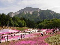 芝桜（秩父　羊山公園）