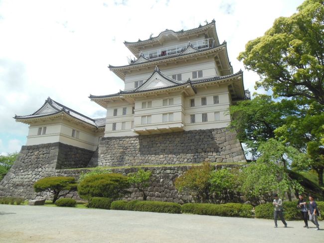 平成27年5月4日、小田原を訪れた。小田原城は戦国大名の北条氏が関東支配の拠点とて整備拡充した城である。特に、秀吉の攻撃に備えて築いた城下を囲む総延長9kmの総構により、その規模は大変大きなものとなった。北条氏の滅亡後、江戸時代に大久保氏や稲葉氏によって近代城郭としてその形が整えられた。しかし、元禄16年の地震によりほとんどの建物が倒壊・焼失した。その後、再建されたが明治3年に廃城となり、城内の多くの建物が解体された。現在見られる建物は、昭和9年に再建された隅櫓、昭和35年の天守閣、昭和46年の常盤木門、平成9年の銅門、そして平成21年に再建された馬出門などである。<br />小田原駅からまずは小田原城址公園に向かう。公園内では馬出門→銅門→常盤木門→天守閣と廻り、レンタサイクル貸出所で自転車を借りて、江戸時代の見附跡や小田原城の特徴である総構の土塁や空堀など(江戸口見附→御幸の浜→早川口遺構→板橋見附→蓮船寺→小峯御鐘ノ台大堀切)を見て回った。その後、公園に戻り自転車を返して、小田原駅から帰途についた。