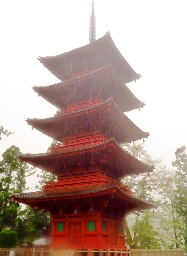 身延山（みのぶさん）は山梨県南巨摩郡身延町と早川町の境にある山である。標高1,153m。<br />また同地にある日蓮宗総本山久遠寺の山号でもあり、別名としてもよく用いられる。<br />（フリー百科事典『ウィキペディア（Wikipedia）』より引用）<br /><br />久遠寺（くおんじ）は、山梨県南巨摩郡身延町にある、日蓮宗の総本山（祖山）。山号は身延山。<br />弘安4年（1281年）に十間四面の大坊が整備され、日蓮によって「身延山妙法華院久遠寺」と名付けられたという。日蓮は弘安5年（1282年）9月に身延山を下ったが、池上宗仲邸（現在の東京都大田区本行寺）にて同年10月13日に死去した。「いづくにて死に候とも墓をば身延の沢にせさせ候べく候」との日蓮の遺言に従い、遺骨は身延山に祀られた。<br />身延山は日蓮教団における最高の聖地であると位置づけられており、日蓮の遺骨は歴代の法主（住職）により、日蓮の遺言通り今日まで護られている。<br />明治8年（1875年）1月に出火により再び伽藍や寺宝を焼き尽くしたが、74世日鑑の尽力とその後の法主等の力により現在に至る。<br />本堂 - 1985年（昭和60年）落慶。本尊は日蓮聖人真筆大曼荼羅本尊を木造形式にしたいわゆる立体曼荼羅で、釈迦如来像・多宝如来像・四菩薩像・不動明王像・愛染明王像・四天王像・普賢菩薩像・文殊菩薩像・日蓮大聖人坐像などからなっている。<br />五重塔 - 現在の五重塔は3代目で2008年竣工、大成建設施工。2009年に落慶法要が行われた。初代の塔は加賀前田利家の側室寿福院の建立による。<br />報恩閣 - 2002年（平成14年）立教開宗750年を記念し、信徒の受付業務、接待所として建立。<br />枝垂桜 - 有名な久遠寺の枝垂れ桜は毎年3月下旬〜4月上旬にかけ境内に樹齢400年ともいわれる枝垂桜と久遠寺周辺数百本の桜が咲き乱れる。見物客、カメラマンが相当数来て、門前町の道路も大変渋滞する。<br />（フリー百科事典『ウィキペディア（Wikipedia）』より引用）<br /><br />身延山久遠寺については・・<br />http://www.kuonji.jp/<br /><br />4月６日（月）７日（火）<br />『身延山「しだれ桜」・実相寺「神代桜」・慈雲寺「いと桜」・海鮮浜焼き＆イチゴ狩り食べ放題２日間』<br />旅行代金	25,000円	日数	1泊2日<br />2石和温泉--身延山久遠寺【しだれ桜観賞[ロープウェイは別料金 往復1,290円]　約１１０分】--沼津【海鮮浜焼き食べ放題(約６０分)の昼食／買い物 約３０分】--三嶋大社【しだれ桜観賞／参拝　約４０分】--三島【イチゴ狩り園内食べ放題　約３０分】---船橋(19:20着)　◆バス移動距離：290km<br />