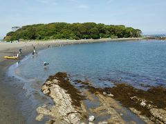 南房総館山で魚獲ったど～。花も採ったど～！！