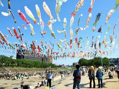 1000匹の鯉のぼりが青空を泳ぐ。みんな元気になぁれ！