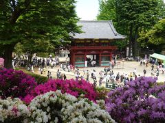 つつじ祭（根津神社）と 谷中ちょこっと散歩 in GW