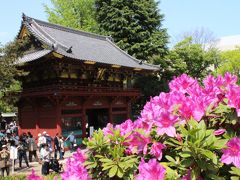 2015年　東京ぶらり歩き　NO.6　GWに谷根千を散歩して根津神社でつつじの鑑賞をしてきました。