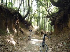多摩の裏山をサイクリング