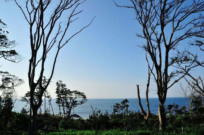 今年のG.W.も旅の予定は前半に固めました。今年は3泊4日で日本海側に行き定番の越前三国と丹後半島に行って来ました。<br /> 天候にも恵まれて絶好のキャンプ日和でした。昼は暑いぐらいでしたが夜はまだまだ寒さを感じました。越前三国のキャンプ場は何度も来ているので周辺の観光は周りきってしまっているところがあり特に目新しく見た観光スポットはありませんでしたが新緑の中、のんびりと静かにキャンプ場での休日をすごしました。