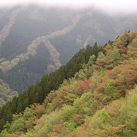 大峰山（弥山・八経ヶ岳）行者還トンネルより 【南紀遠征2日目】