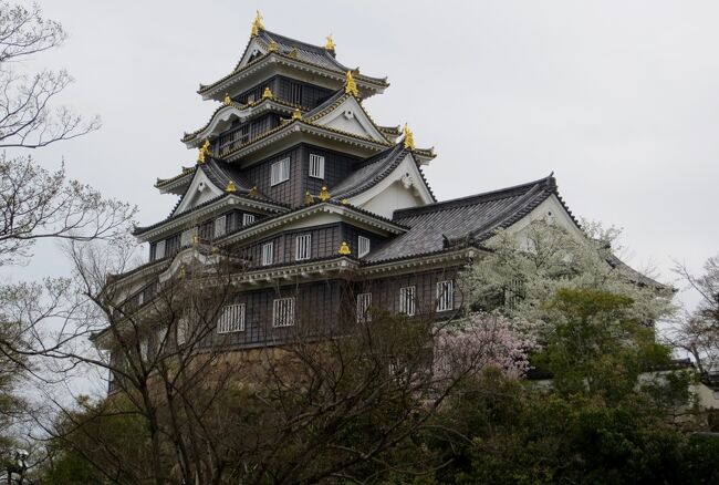 姫路城の見学を終えて、次は岡山への移動です。早めにホテルにチェックインした後、岡山城と後楽園の見学に出かけました。往きは市電に乗りました。