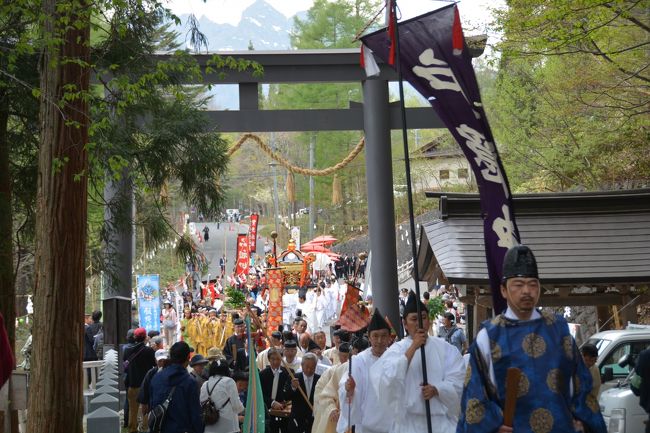 5月6日1:30pmから戸隠神社『渡御の儀』が行われた。戸隠神社の式年大祭は7年毎に行われ、今年は4月26日から5月26日まで。「宝光社」御祭神、天表春命が御父神、天八意思兼命が祀られている「中社」にお渡りになる神事『渡御の儀』、7年ぶりの父子のご対面を果たし、二週間の御同座を経て宝光社へ再び還る神事『還御の儀』。3kmの道を重さ600kgの神輿にご神体を載せ2h以上かけてゆっくりの行列。神楽、神楽装束、稚児、戸隠各地区の山車、獅子などご神体を御守り。荘厳、絵巻物の如くの豪華・絢爛で大勢の観光客もため息をついて見ていた。