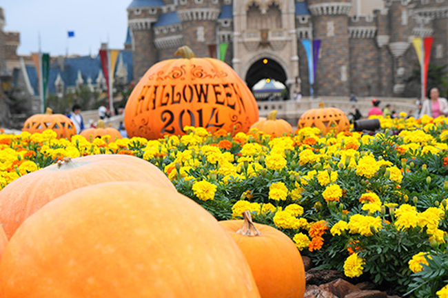 ディズニーハロウィン 東京ディズニーリゾート 千葉県 の旅行記 ブログ By Nikiminiloverさん フォートラベル