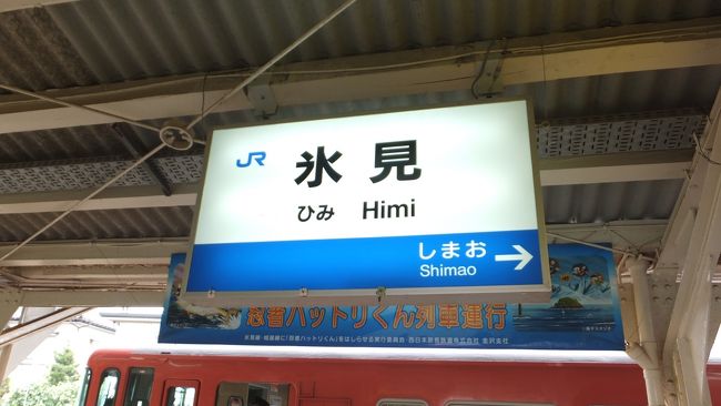 このところ２年続けて富山を訪れ、美味しい山海の食べ物やお酒、飾らない人柄の街の人々に、おおいにはまってしまいました。<br />なかでも、南砺市城端の「城端曳山会館」で、城端の曳山祭りの展示と説明を聞くにつけ、今年のＧＷは「是非とも見てみたい」と決めておりました。<br />今年は、お祭りの翌日５月６日も休日。<br />これは行くしかない（笑）。<br /><br />「北陸新幹線で行ったんですか？」なんて聞かれるけど、新幹線の切符売出しが１ヶ月前なので、待ちきれず痺れを切らせてしまい、１月にＡＮＡ便を「特割Ｃ」で購入（笑）。<br />羽田～富山往復夫婦２人で55,960円（１人往復27,980円）でした。<br />新幹線で東京～富山の片道が12,210円ですので、まぁそれほど変わらない・・・。<br /><br />氷見の民宿で１泊、美味しい料理を朝・晩といただきました。<br />続いては氷見市の観光です。<br /><br />　①まずは高岡の名刹「国宝・瑞龍寺」へ！<br />　②氷見の料理民宿「竹や」さんで新鮮な料理を満喫しました！<br />★③レンタサイクルで氷見市内観光です！<br />　④氷見には「忍者ハットリくんロード」がありました！<br />　⑤レンタサイクルで氷見市立海浜植物園に行きました！<br />　⑥越中の小京都「城端」の曳山祭り、宵祭の街並みです！<br />　⑦越中の小京都「城端」の曳山祭り、いよいよスタートです！<br />　⑧「城端の曳山祭り」、益々盛り上がります！<br />　⑨「城端の曳山祭り」は、夜になりいよいよクライマックス！<br />　⑩案外近い砺波駅から南砺市井波。急遽「瑞泉寺」に行きました！<br />　⑪さぁ砺波のチューリップフェア！<br />　⑫最後は富山の名店「銀八鮨」を再訪！<br />