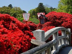 京都の花巡り　２０１５年